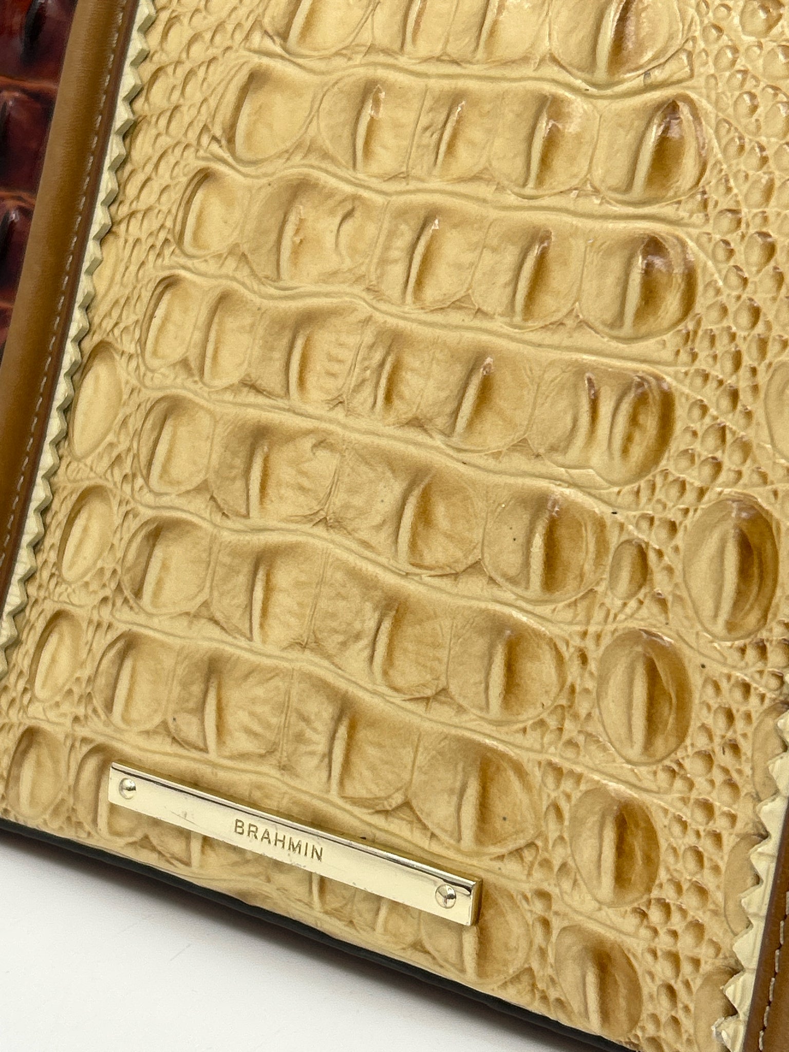 BRAHMIN BEIGE AND BROWN Women Purse