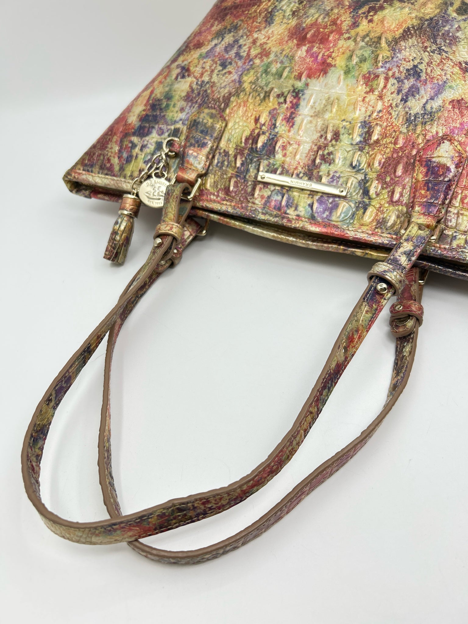 BRAHMIN Multi-Color Women Tote