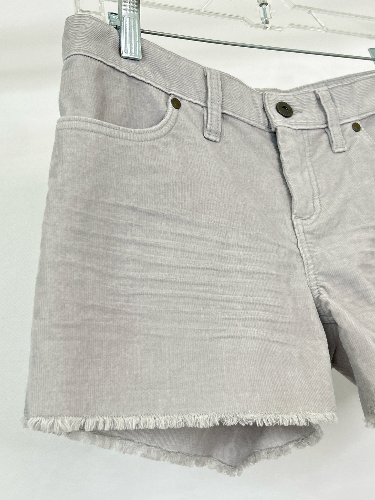 CARVE DESIGNS Size 2 Grey Women Shorts