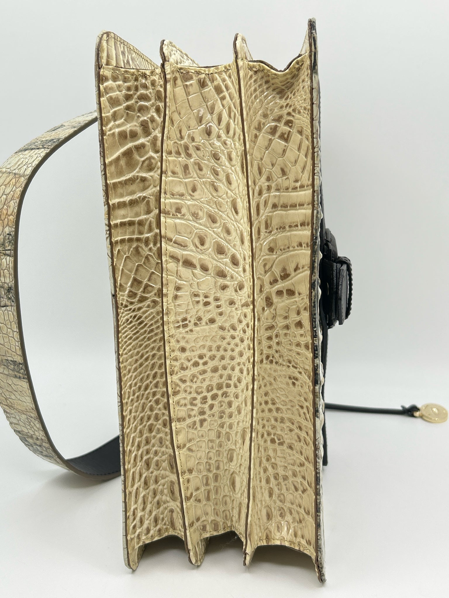 BRAHMIN BROWN AND BEIGE Women Purse