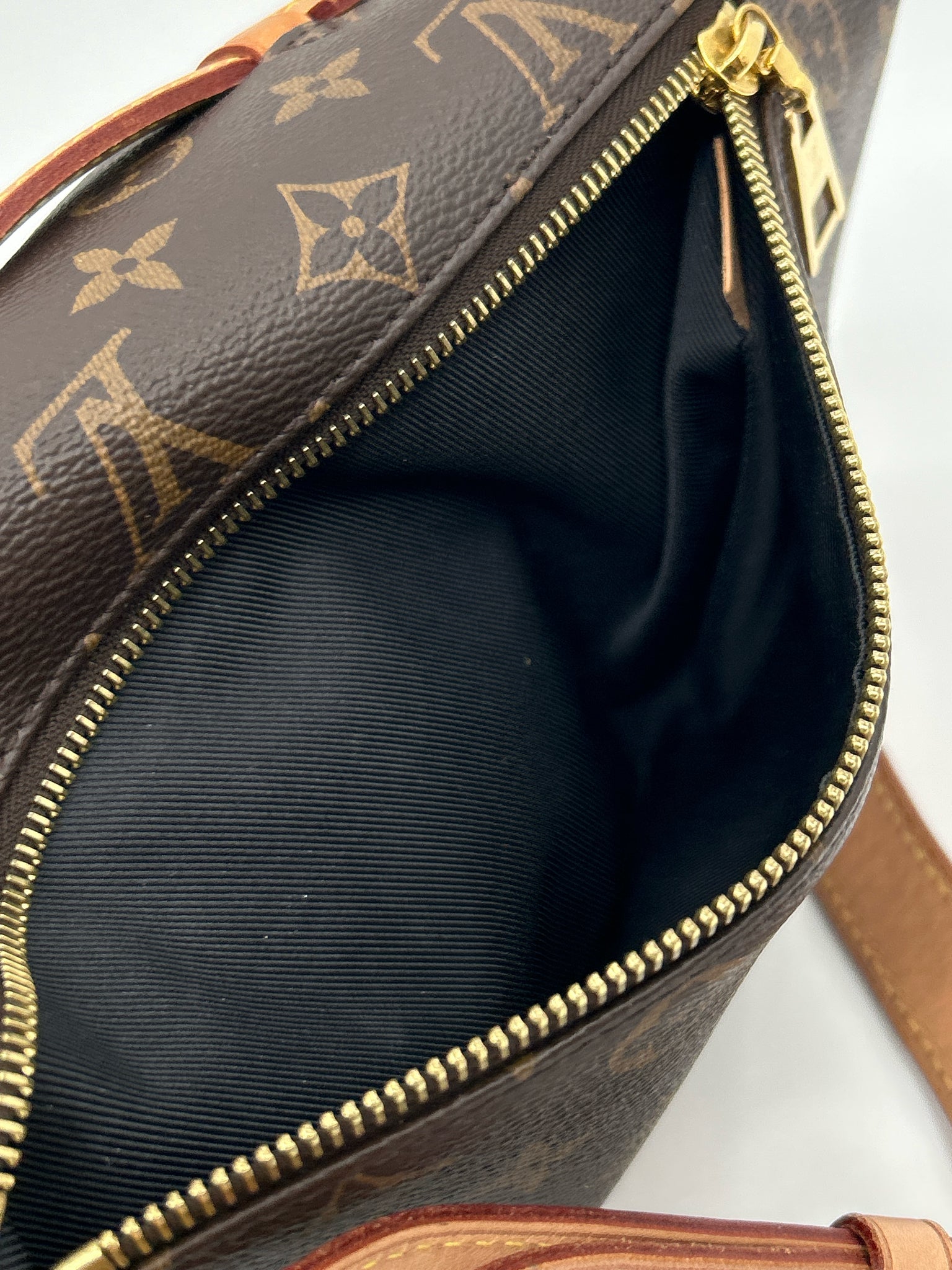 LOUIS VUITTON BROWN MONOGRAM Women Purse