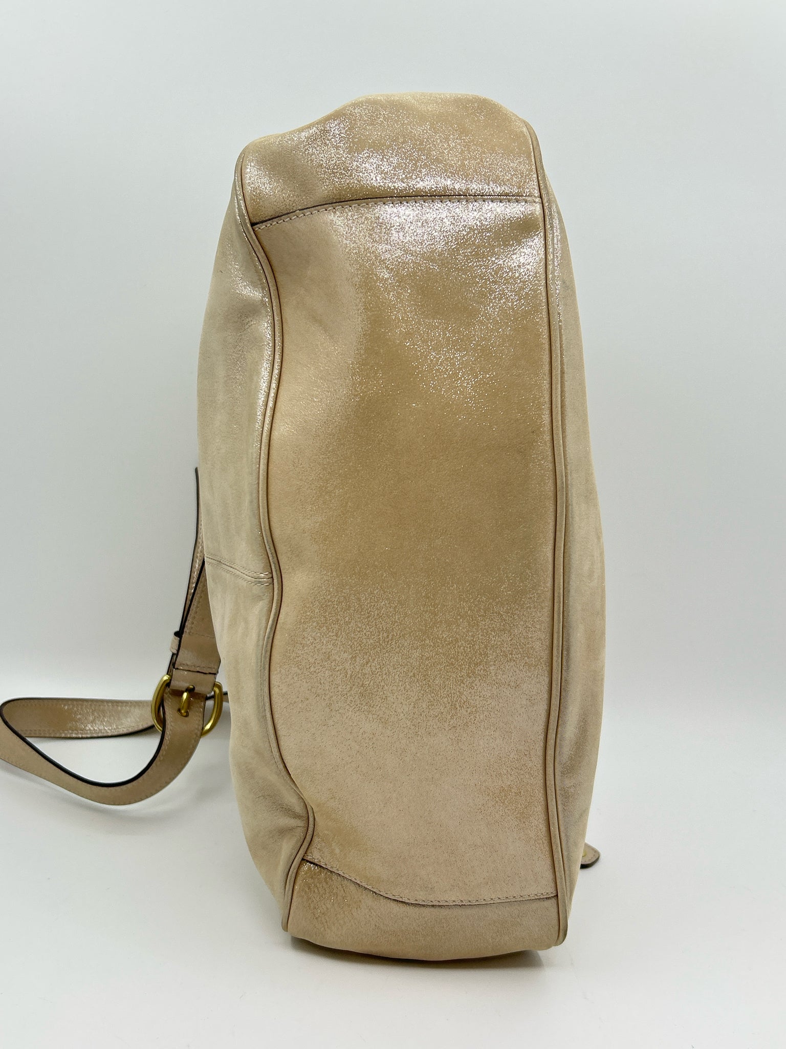 COACH METALLIC BEIGE Women Purse