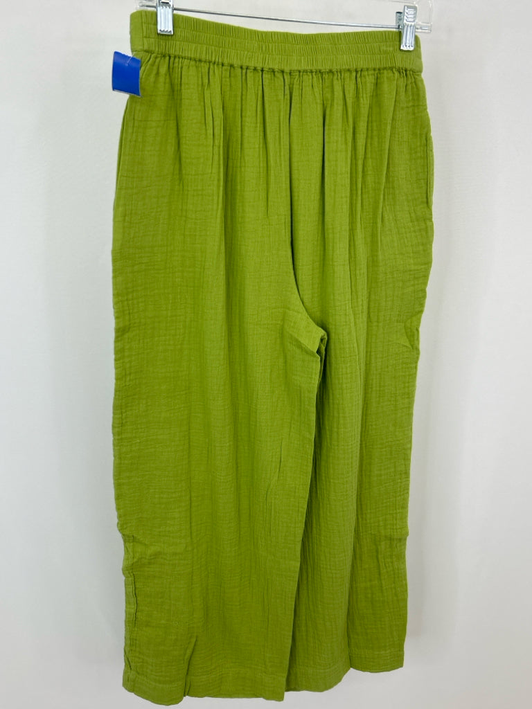 SUNDANCE Size ps Green Women's Pants