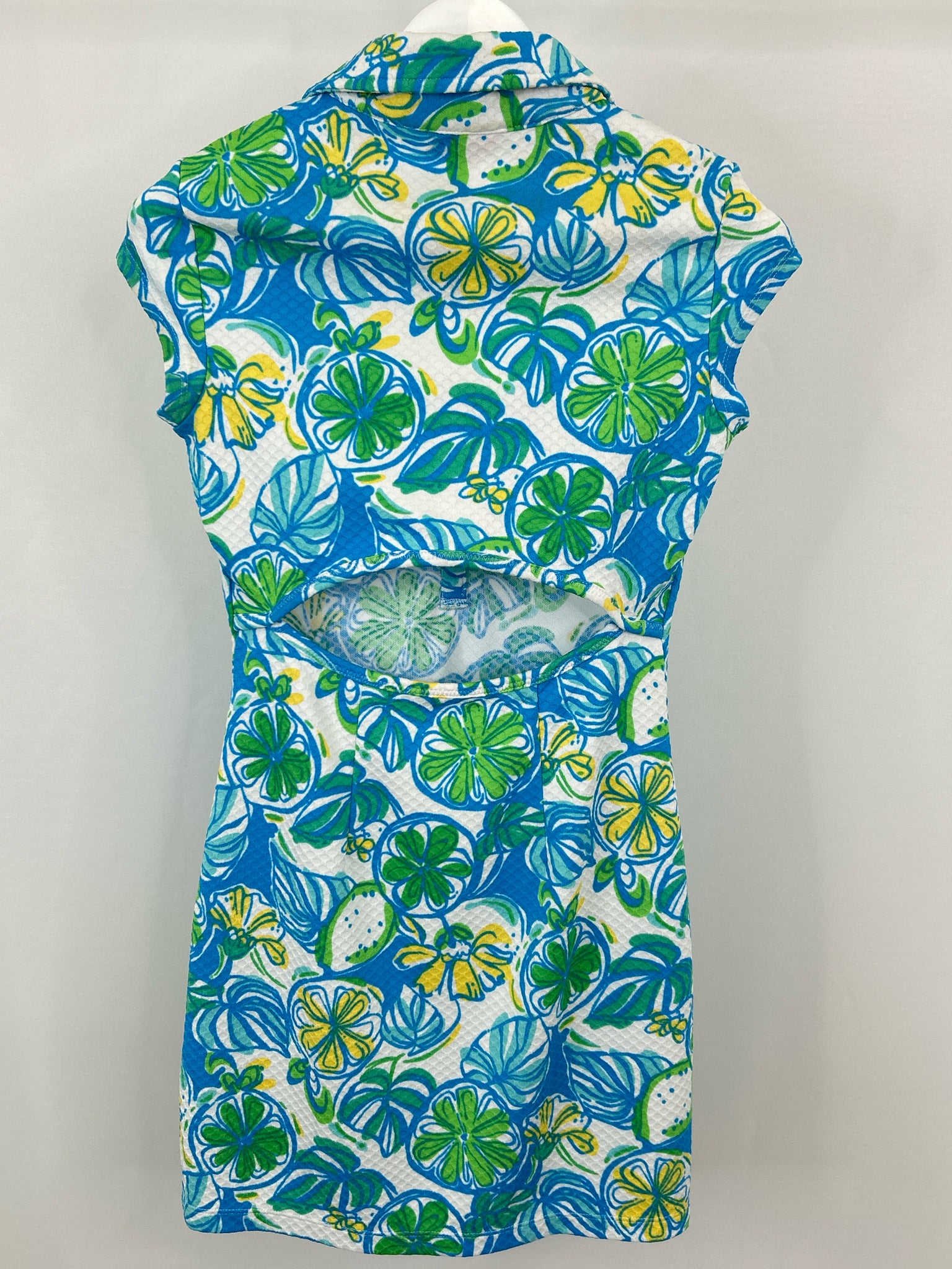 LILLY PULITZER Size S BLUE AND GREEN Women's Dress
