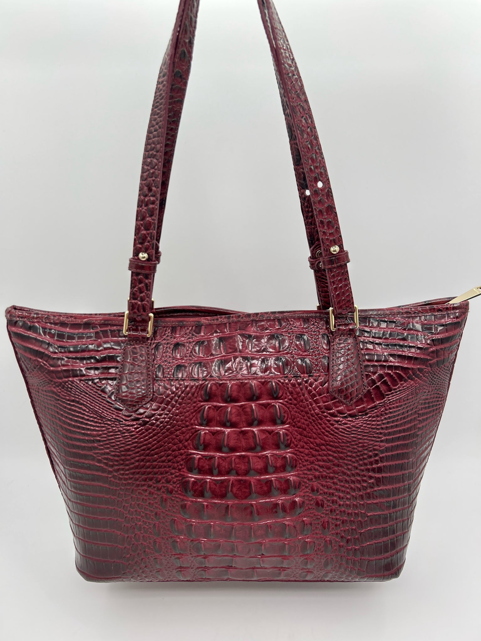 BRAHMIN FIG Women Tote