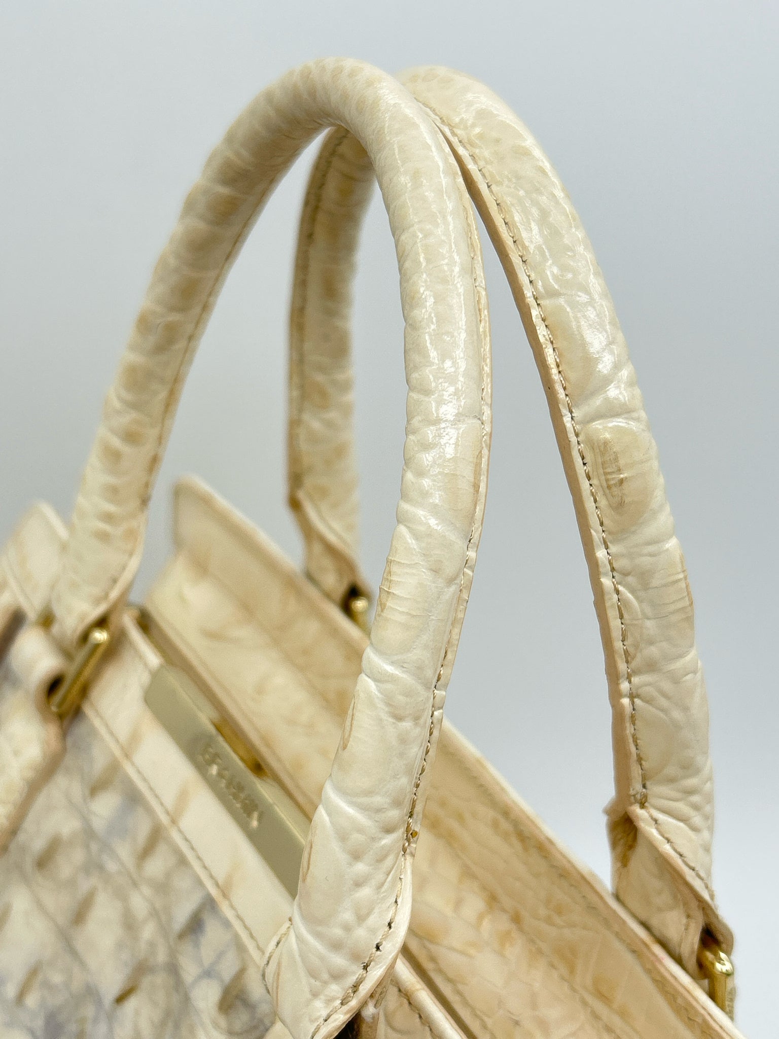 BRAHMIN Cream and Blue Women Purse