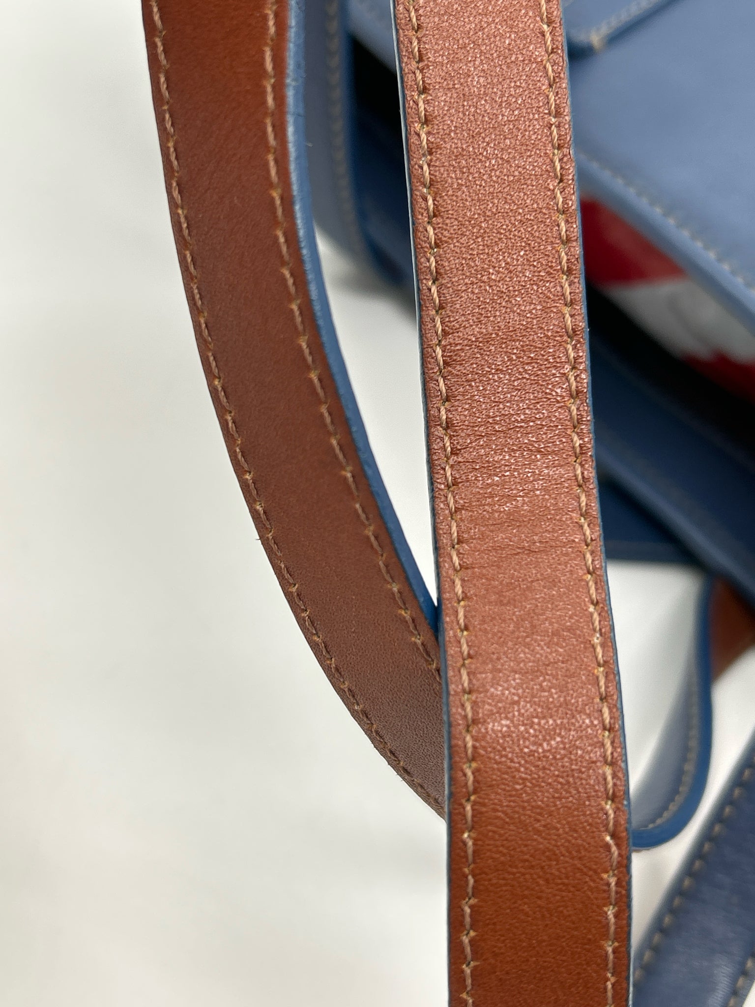 Coach Blue Women Tote