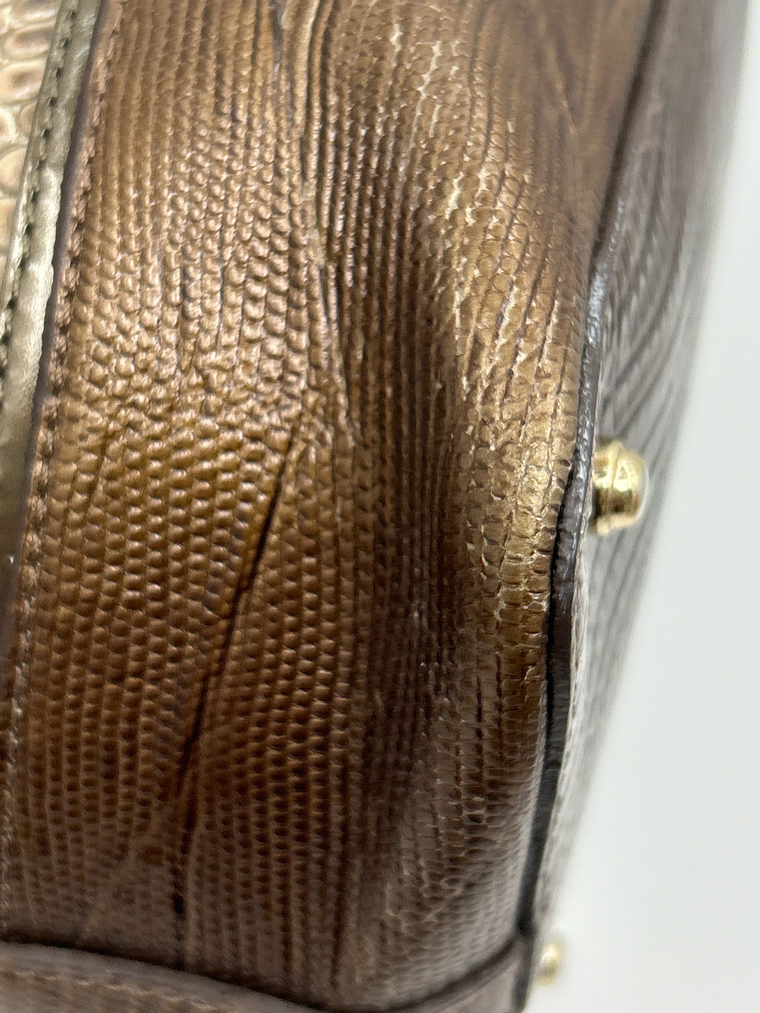 BRAHMIN Beige and Bronze Women Purse