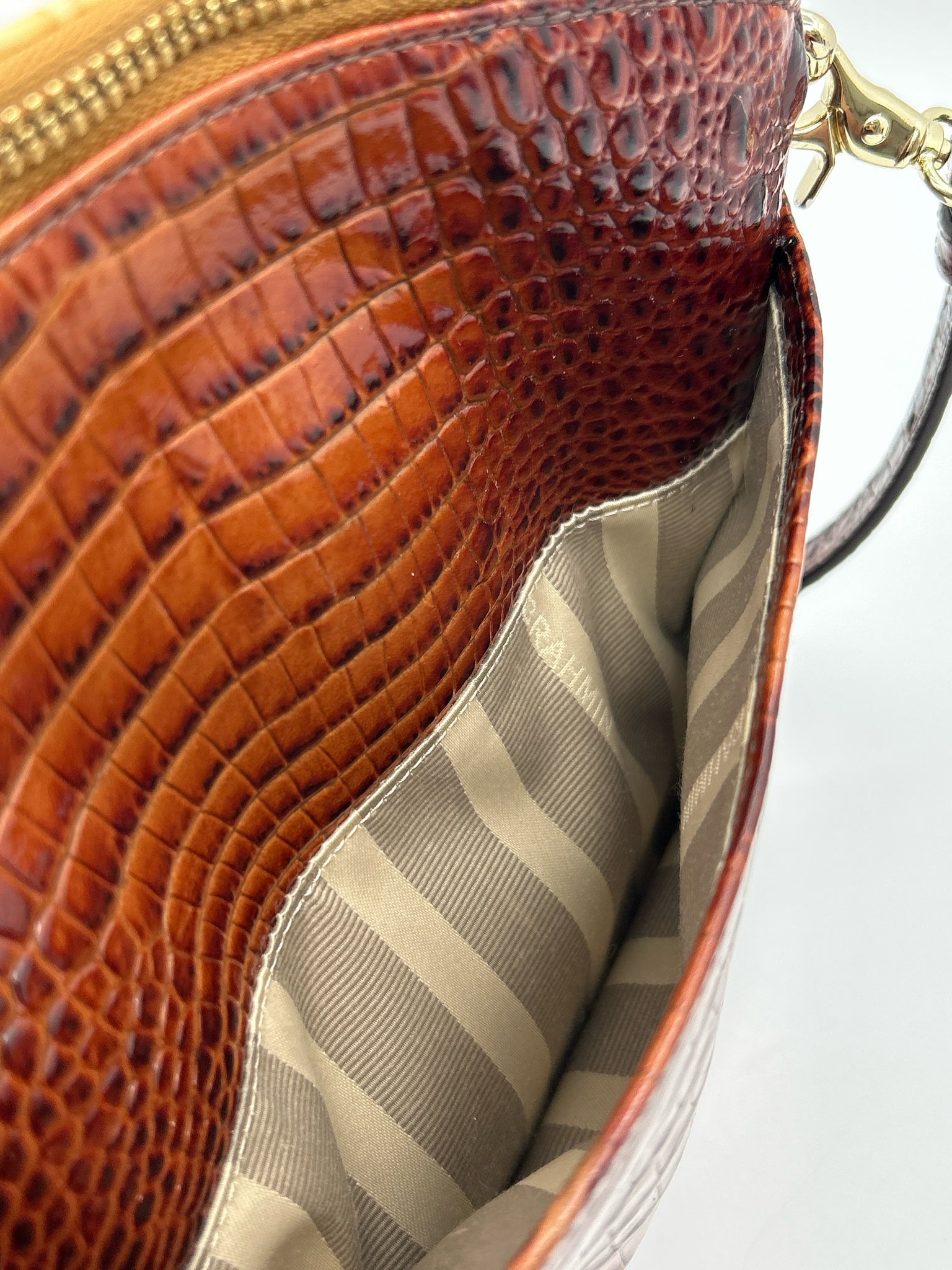 BRAHMIN BEIGE AND BROWN Women Purse