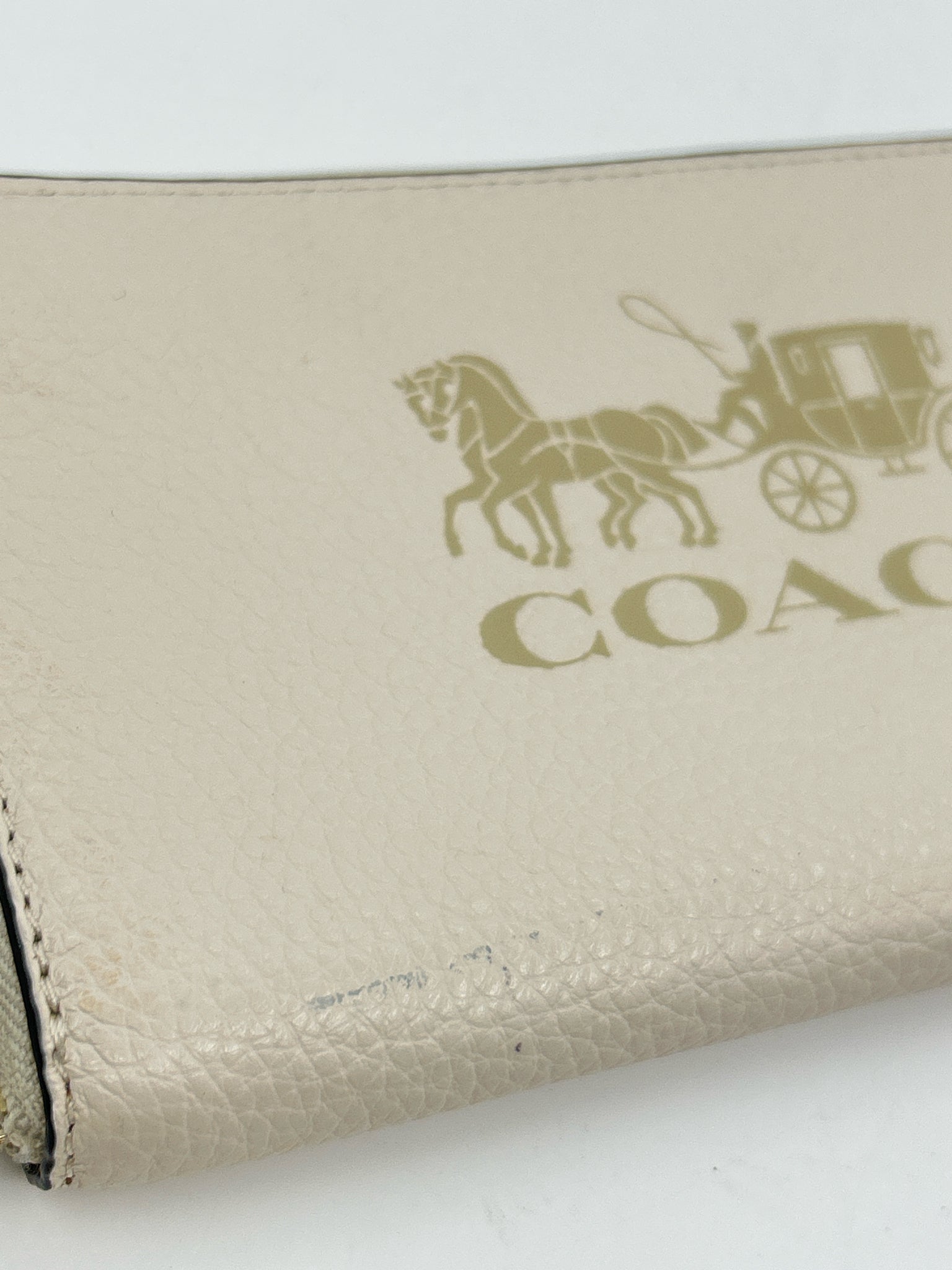 COACH Ivory Women Wallet