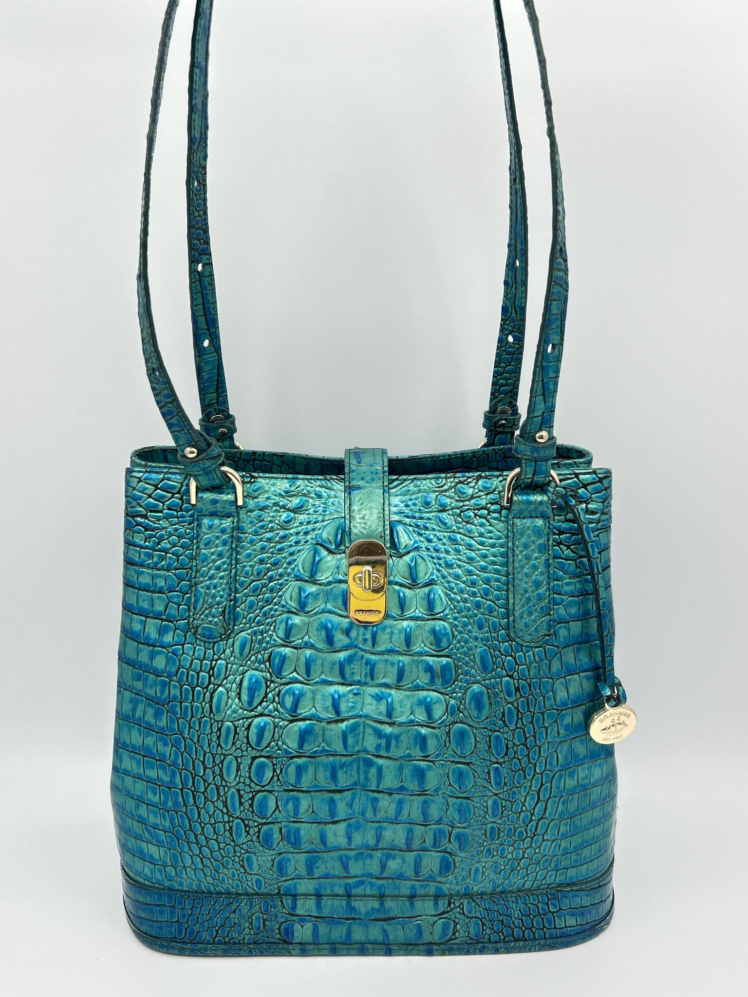 BRAHMIN Teal Women Purse