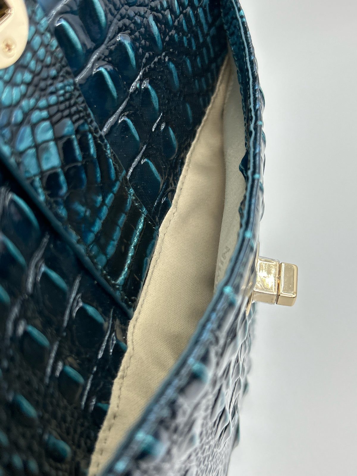 BRAHMIN Teal Women Purse