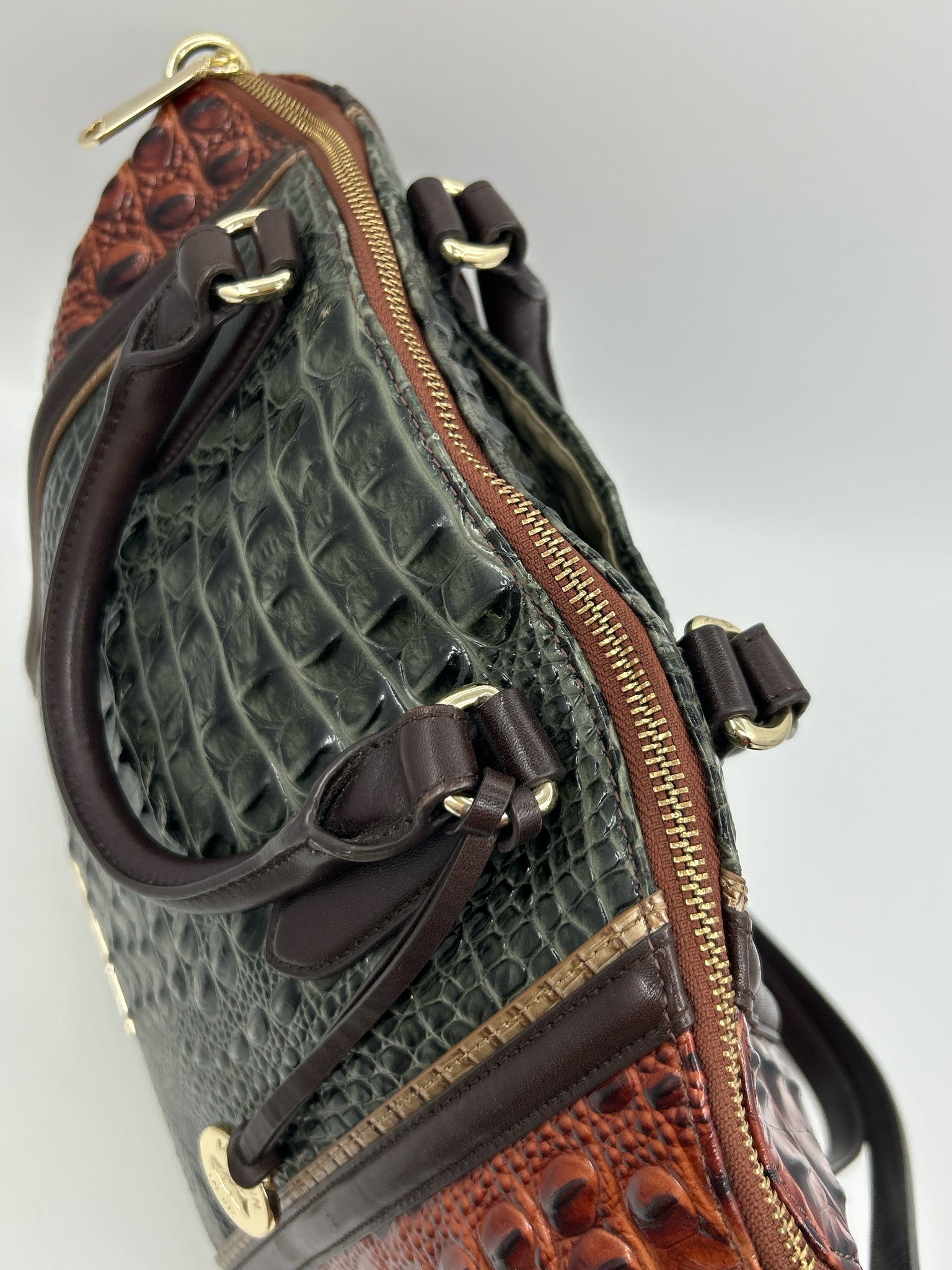 BRAHMIN Pecan and Green Women Purse