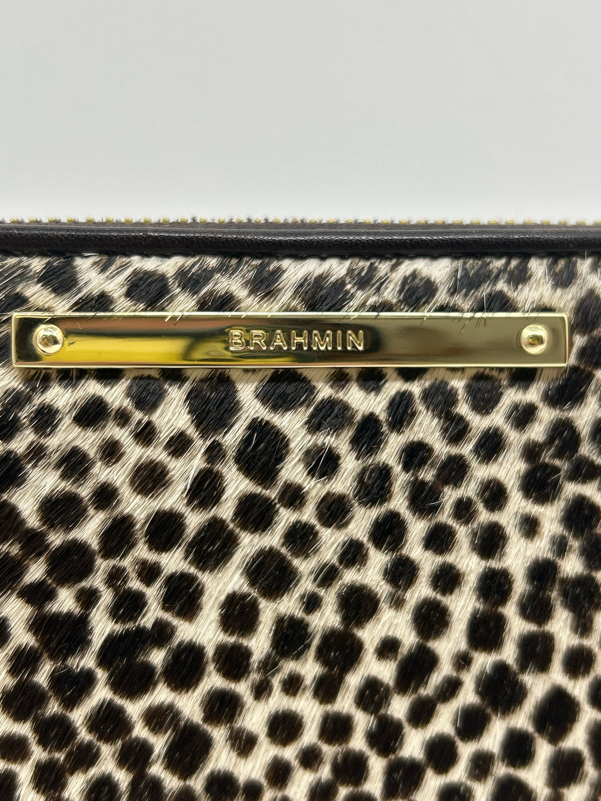 BRAHMIN Brown and White Women Wallet