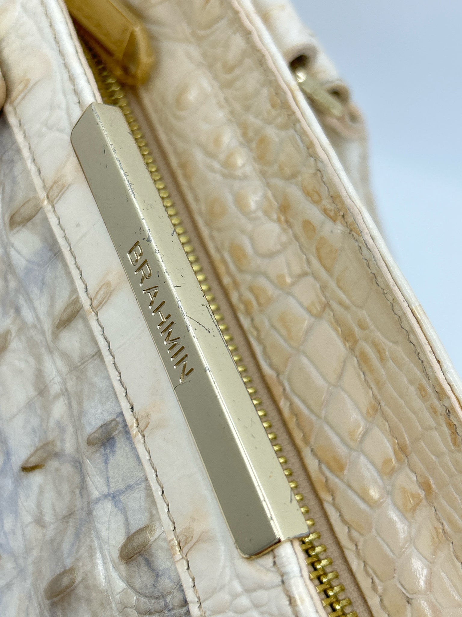 BRAHMIN Cream and Blue Women Purse