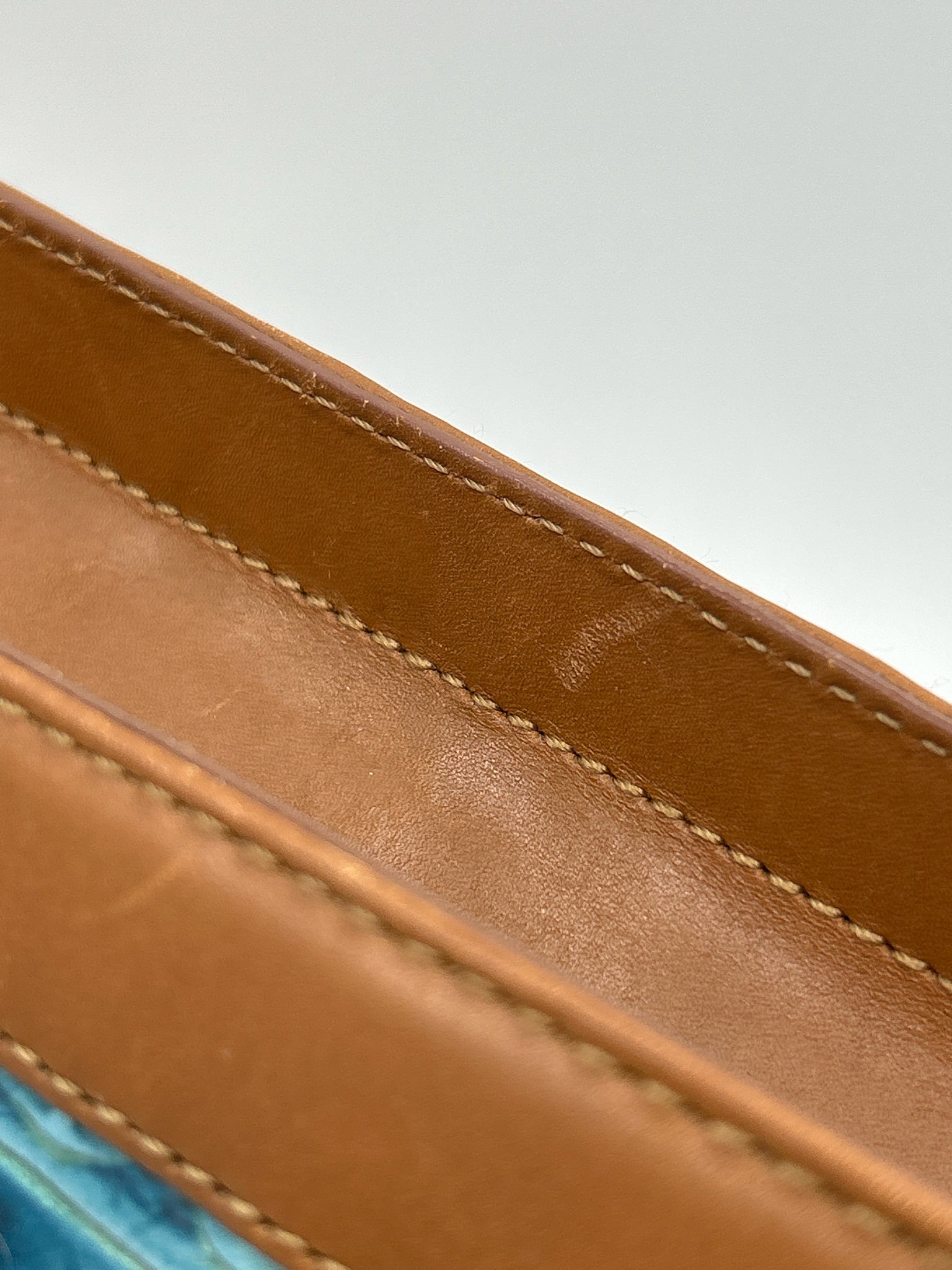 BRAHMIN BEIGE AND TEAL Women Purse