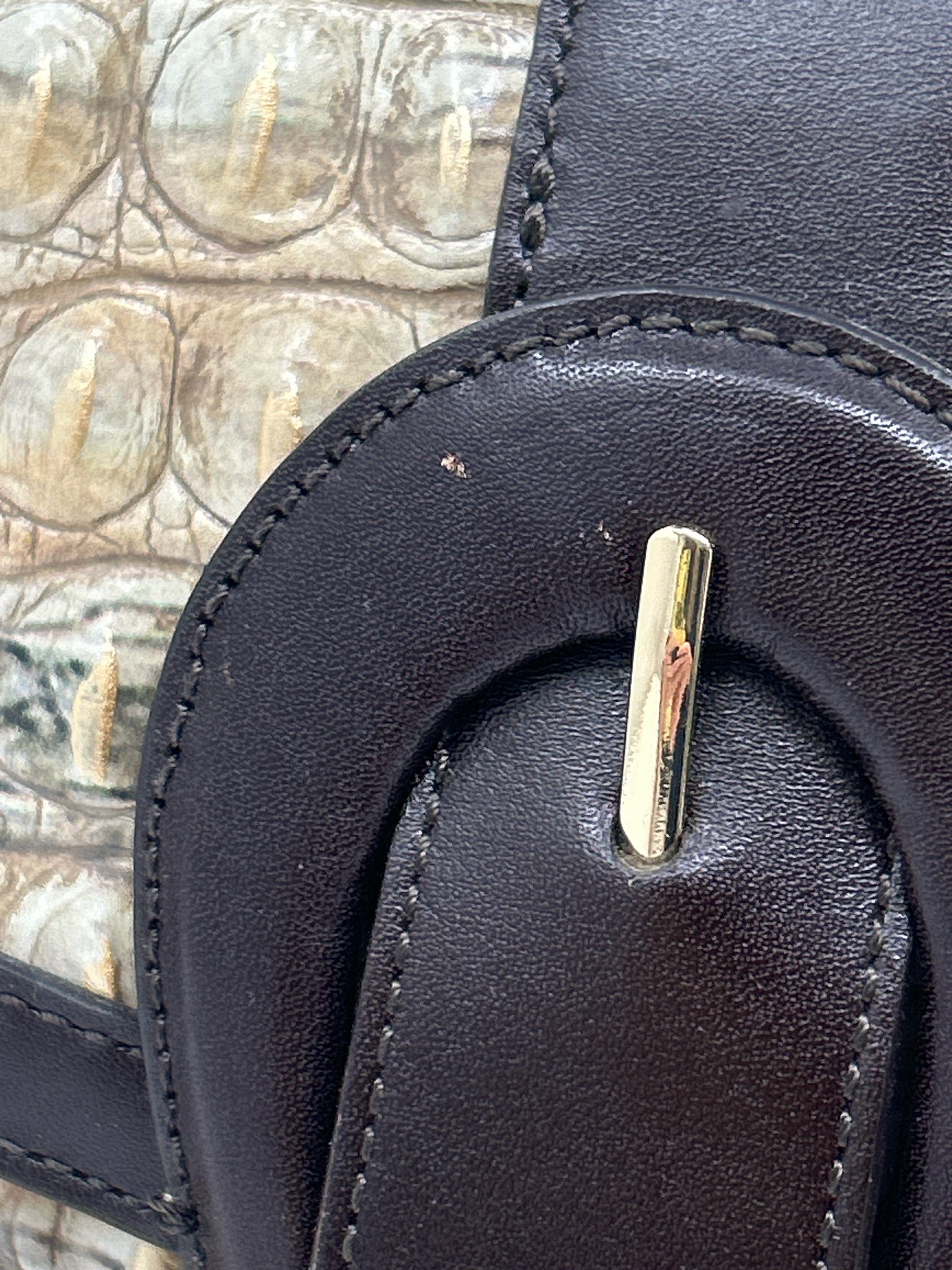 BRAHMIN BROWN AND BEIGE Women Purse