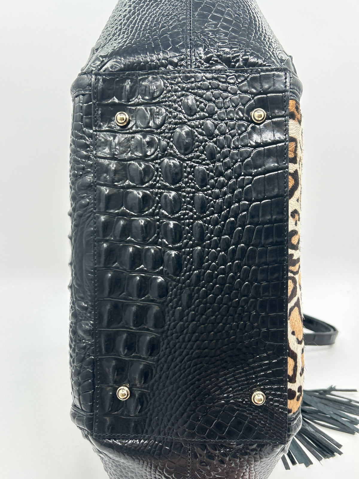 BRAHMIN Black & Beige Women Purse