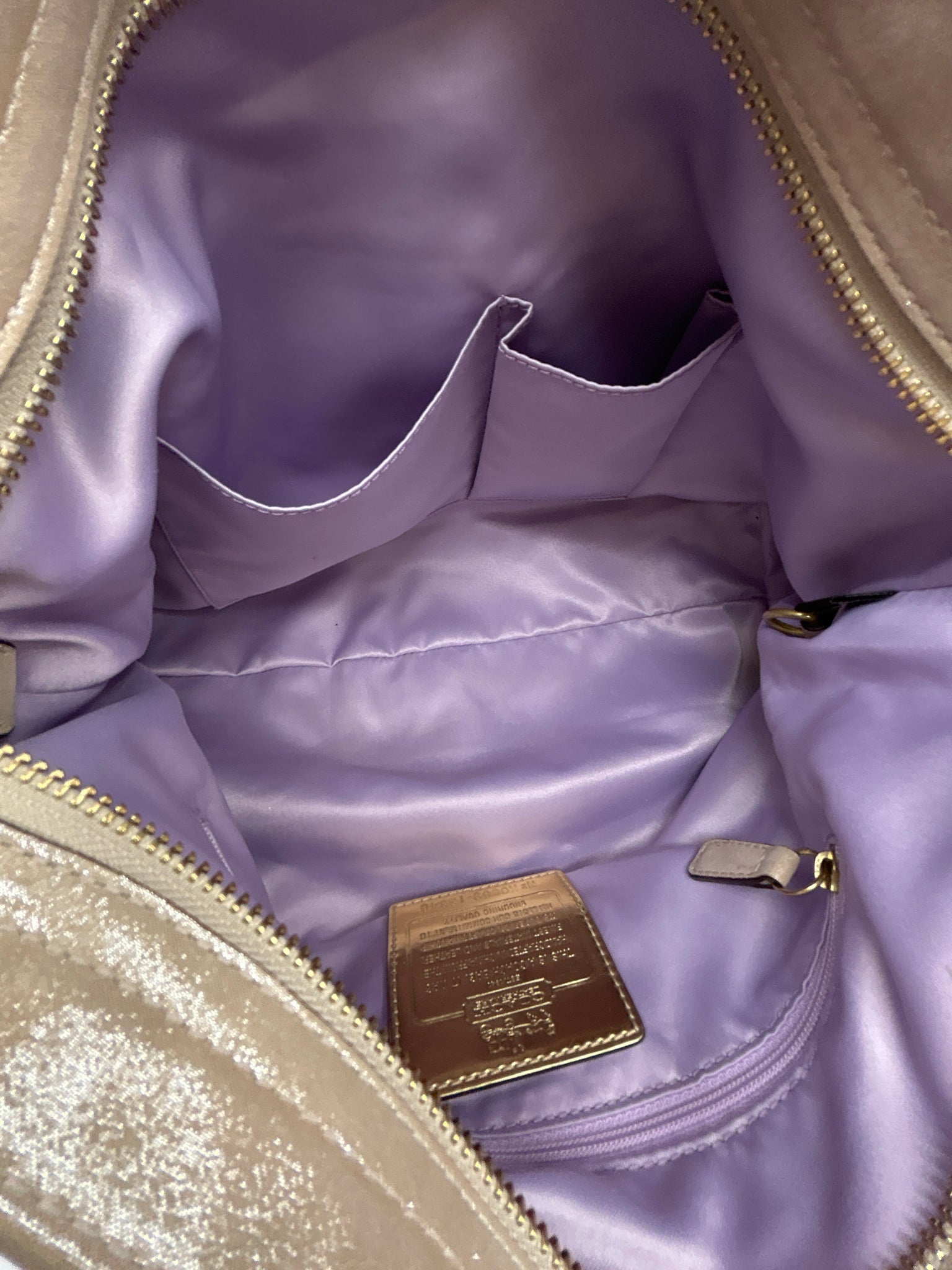COACH METALLIC BEIGE Women Purse