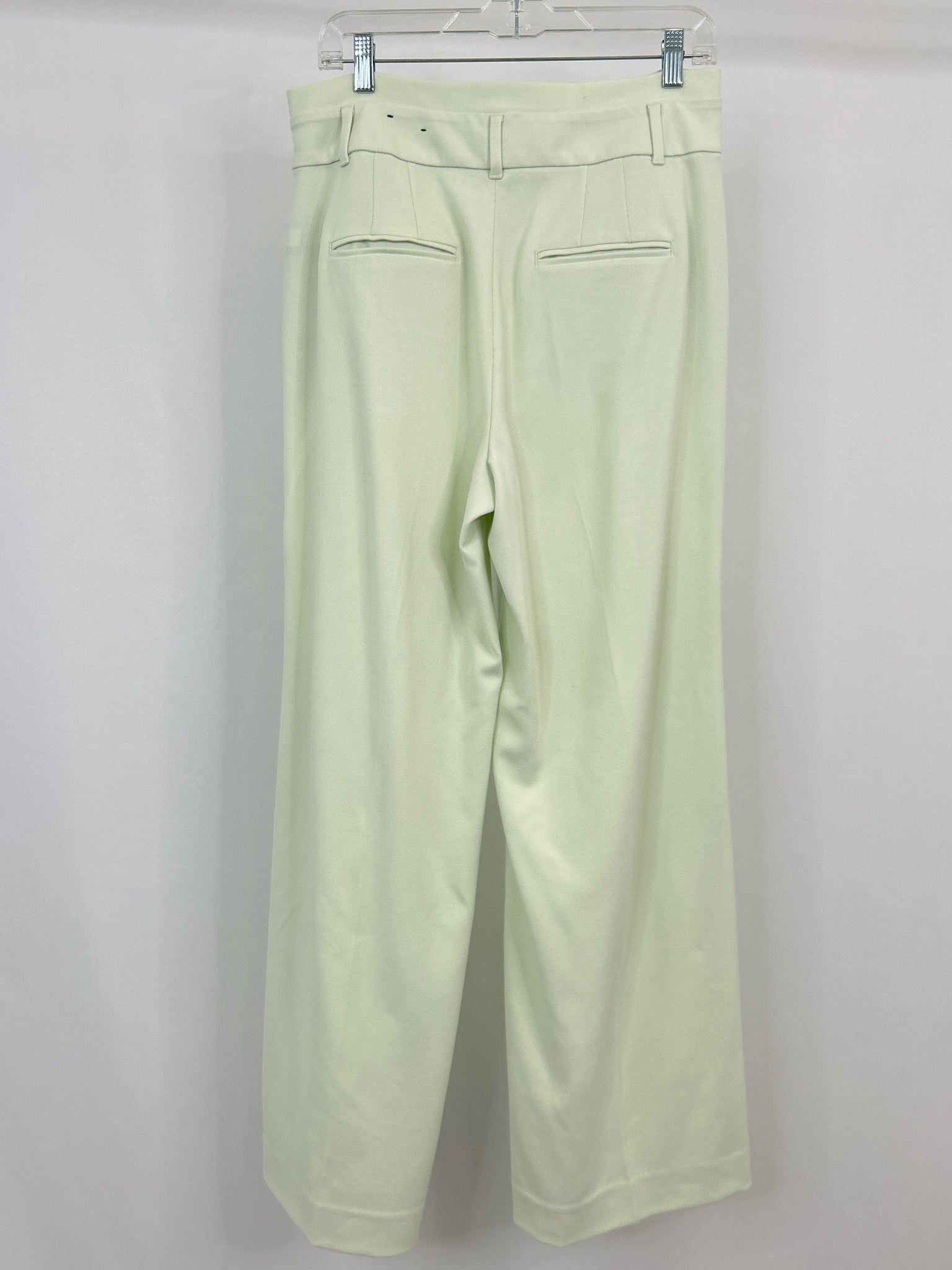 White House Black Market Size 8 light green Women Pants