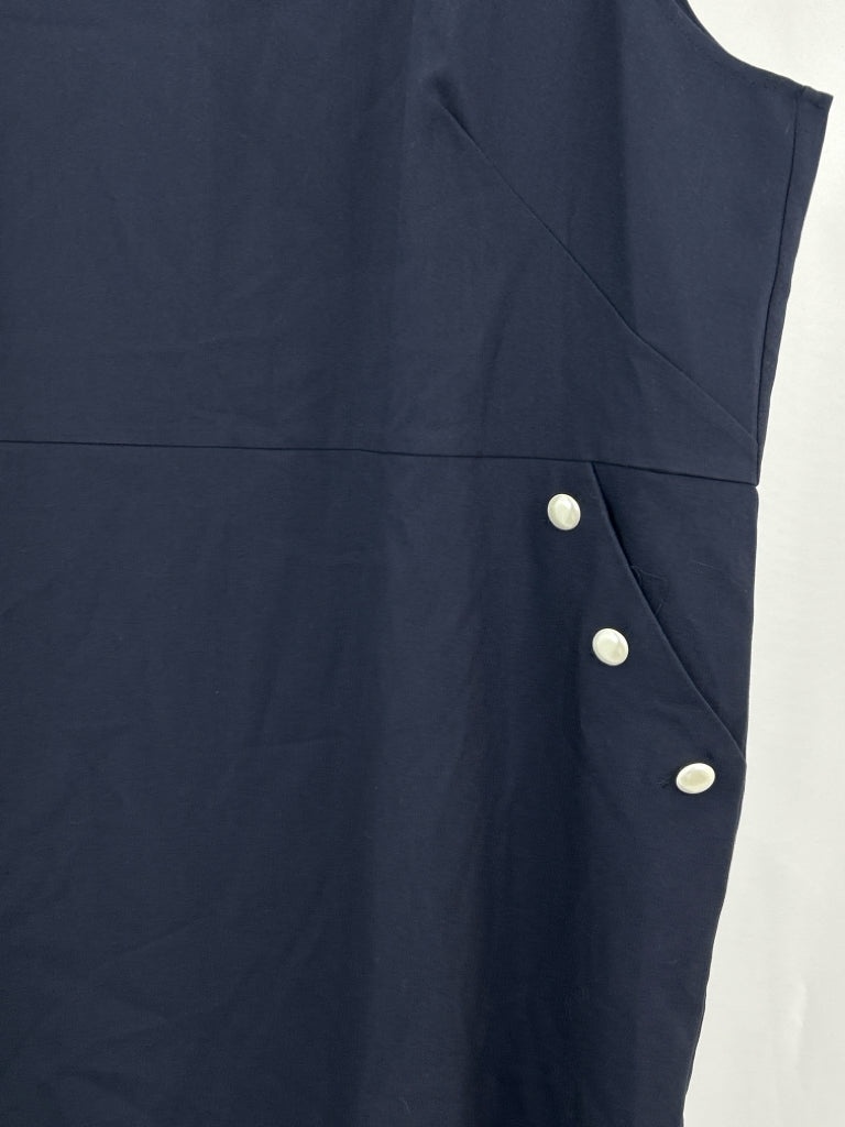 LOFT Size 26 Navy Women's Dress