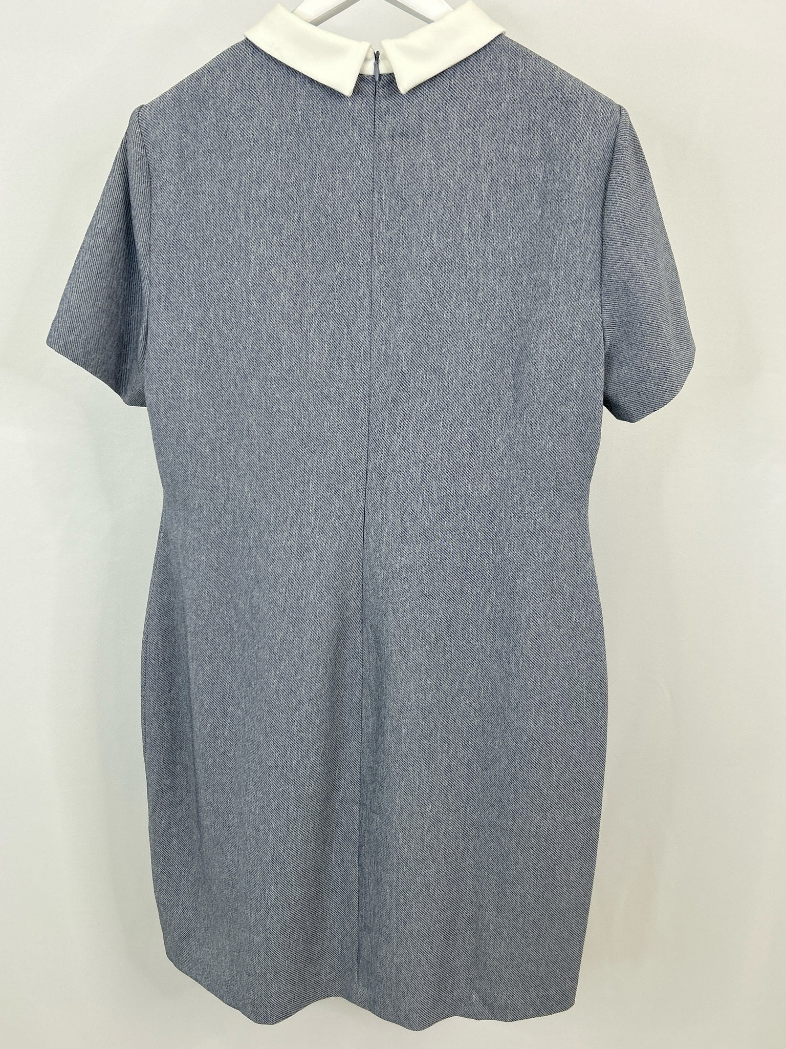 IVANKA TRUMP Size 16 blue and white Women Dress