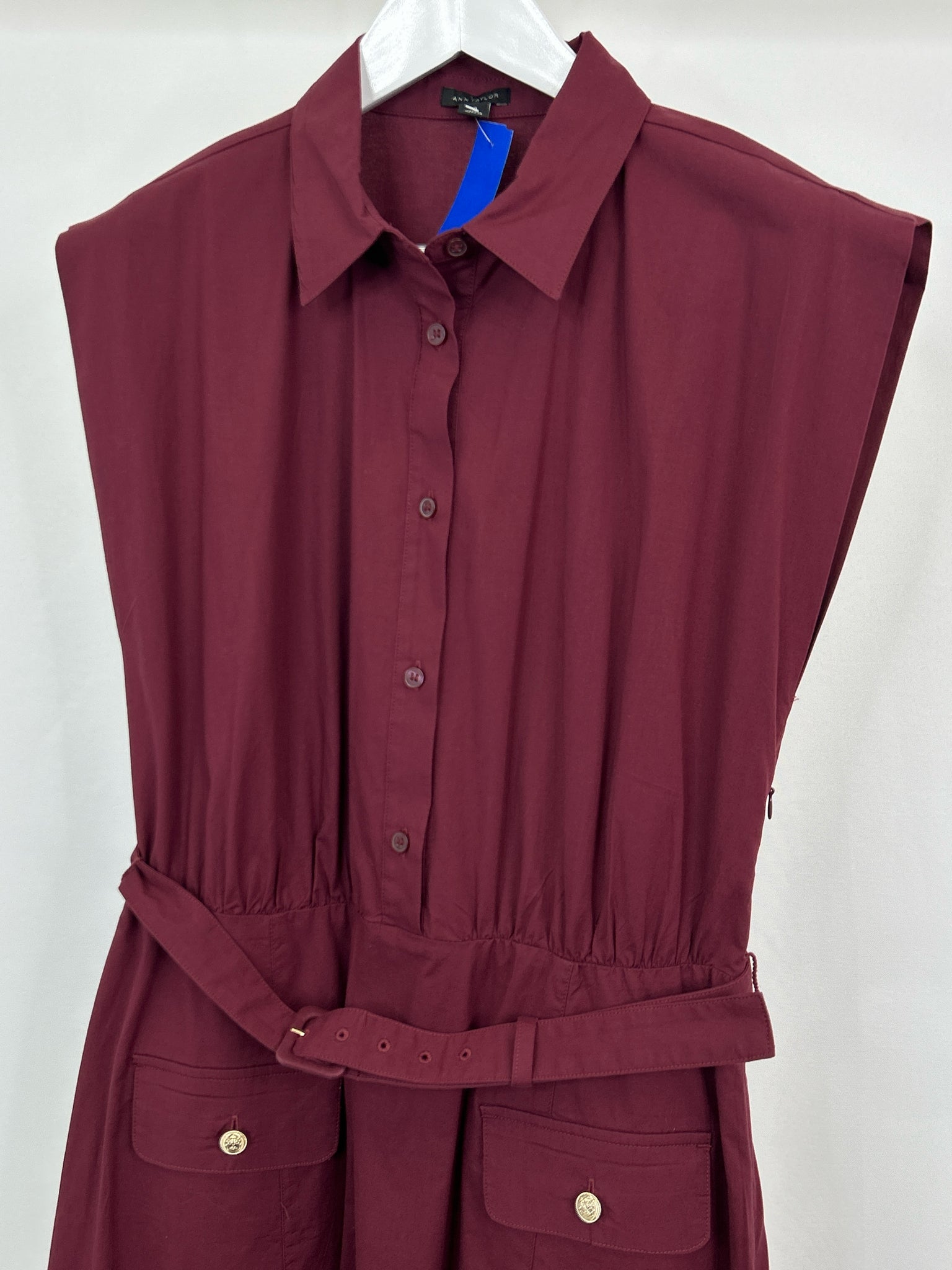 ANN TAYLOR Size 10 Burgundy Women Dress