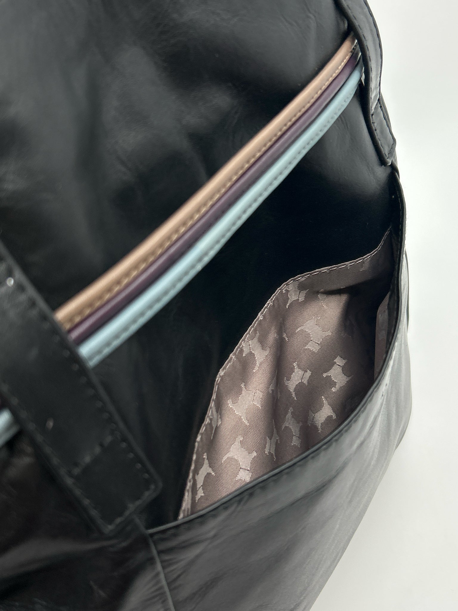 RADLEY Black Women Purse