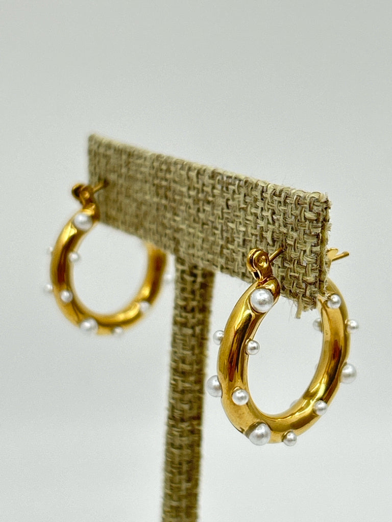 EYE CANDY Women NIB Gold Earrings