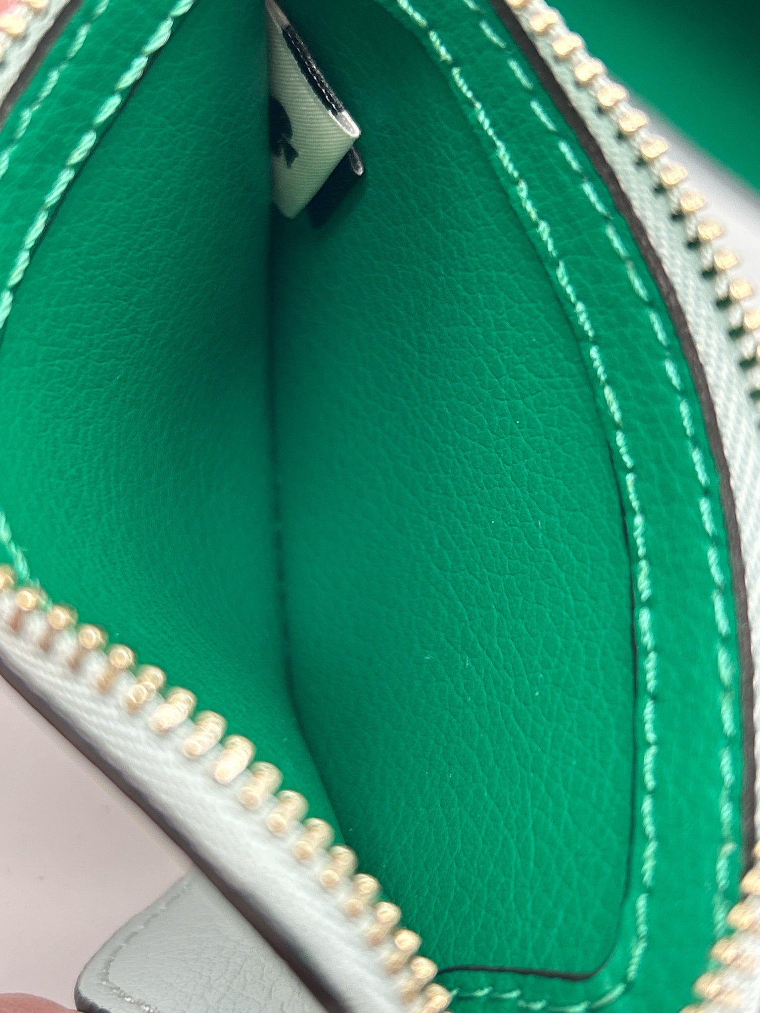 KATE SPADE Green and Blue Women Tote