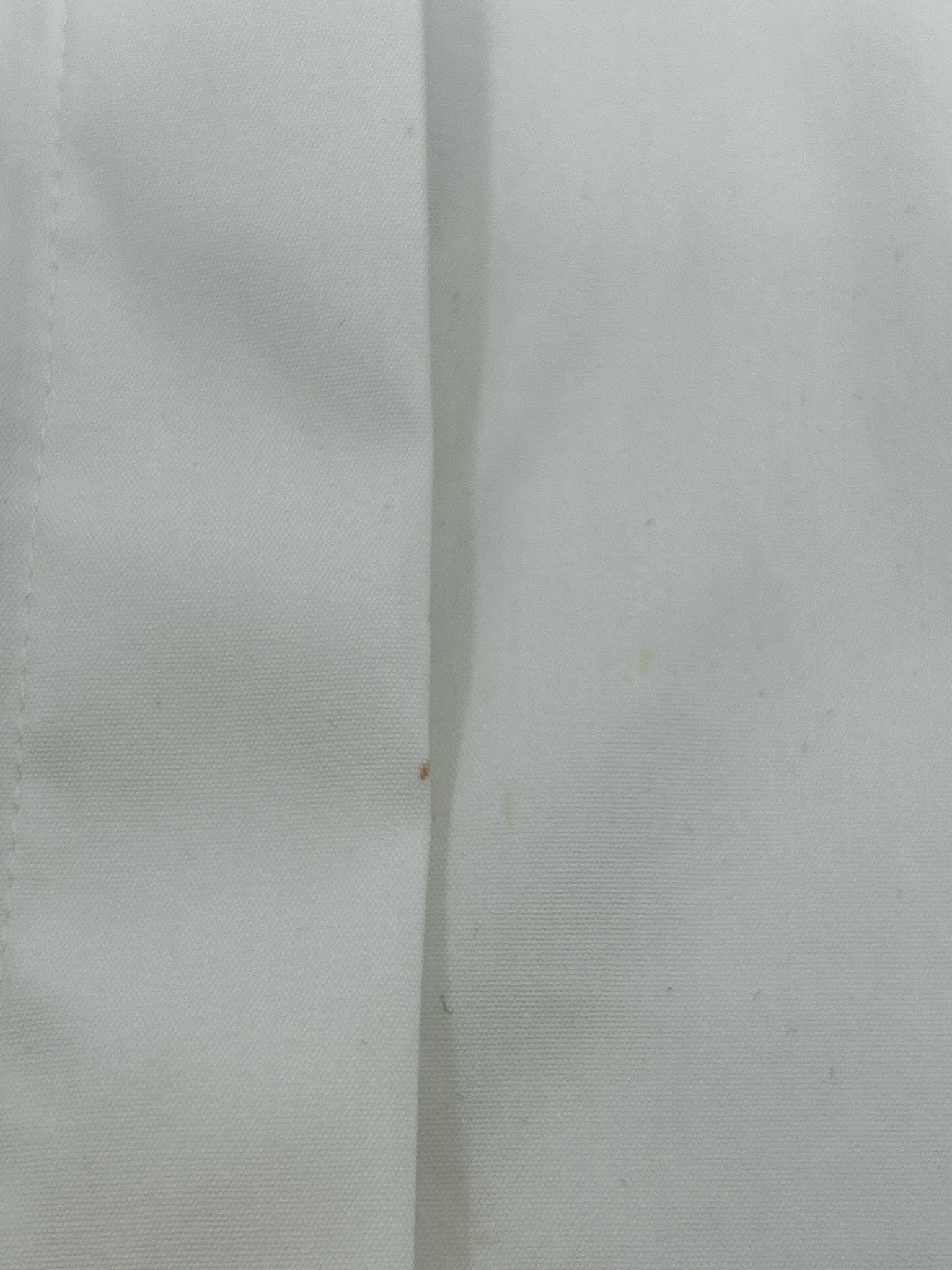 ALICE + OLIVIA Size 6 Off White Women Blouse NWT