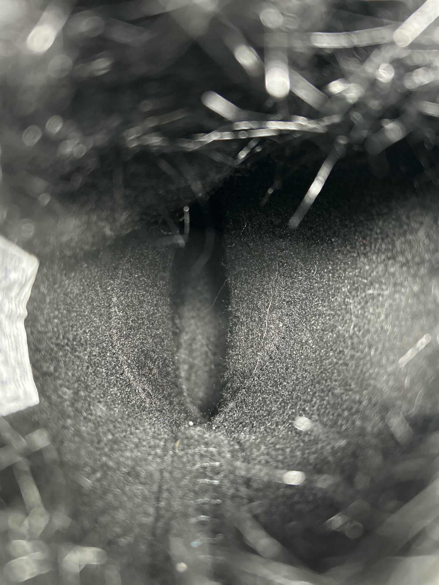 SOREL Size 8 Black Women Boots