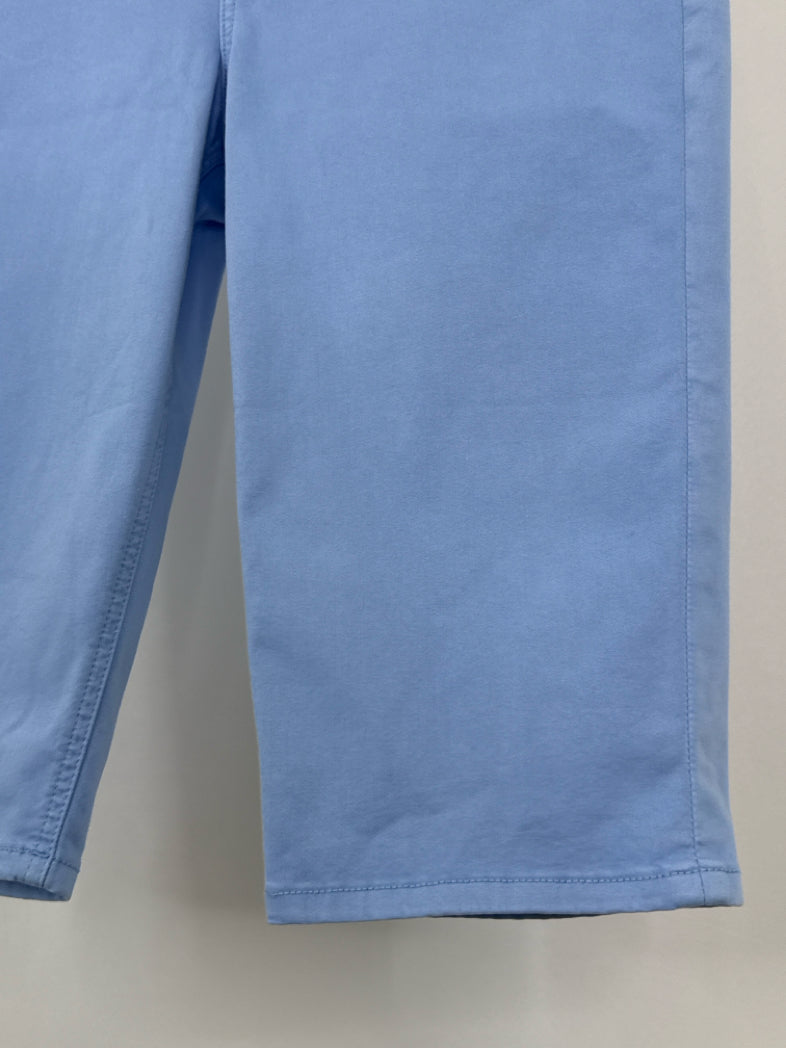 TOMMY BAHAMA Size 10 Blue Women Pants