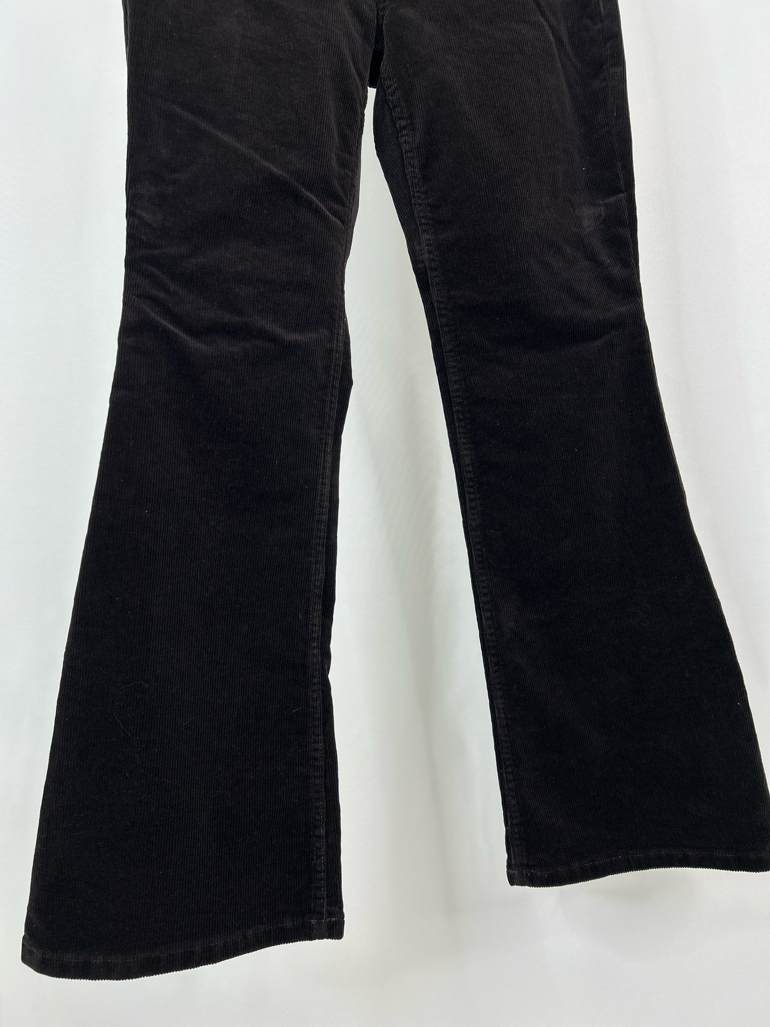 BANANA REPUBLIC NWT Size 4P Brown Women Pants