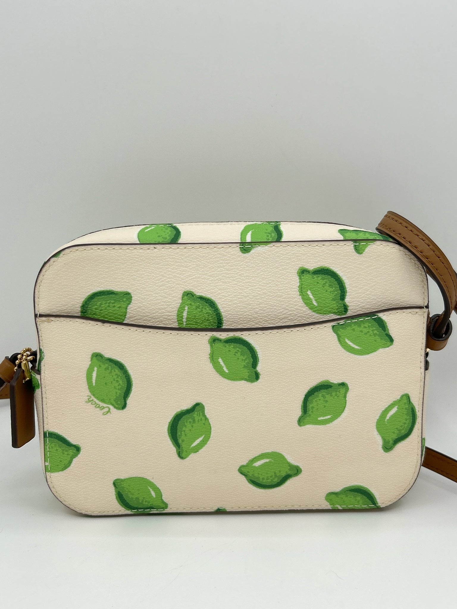 COACH WHITE AND GREEN Women's Purse