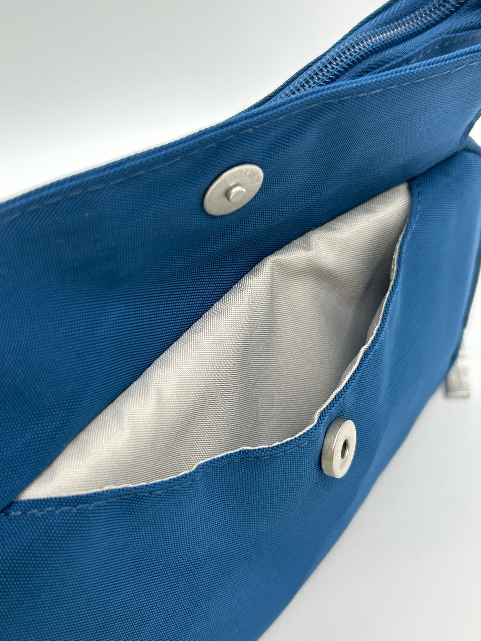 BAGGALLINI Blue Women Purse