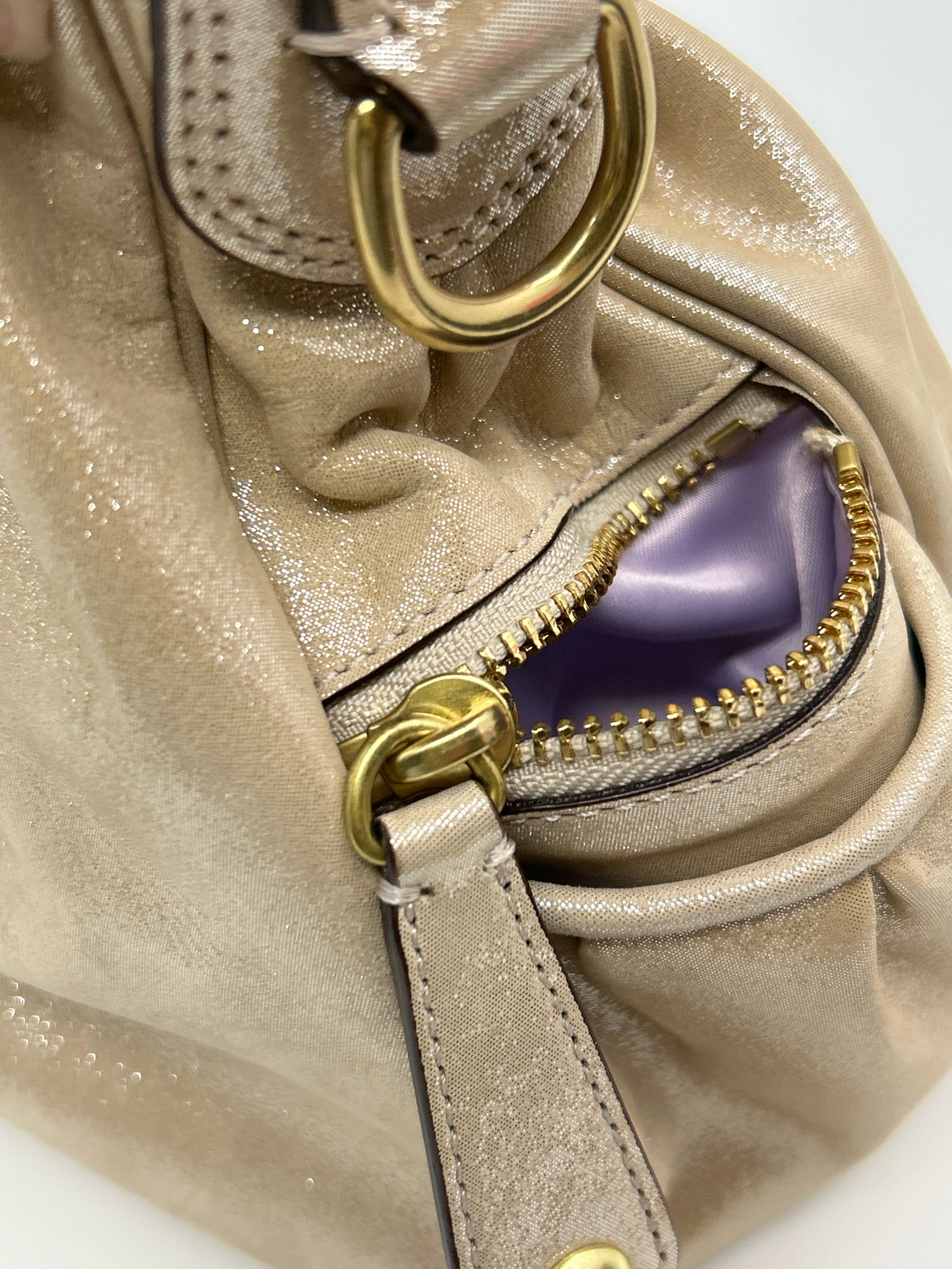 COACH METALLIC BEIGE Women Purse