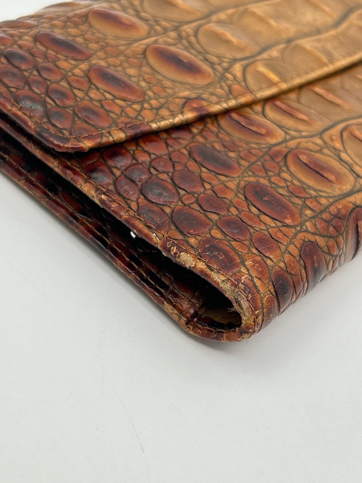 BRAHMIN Tan Women Wallet