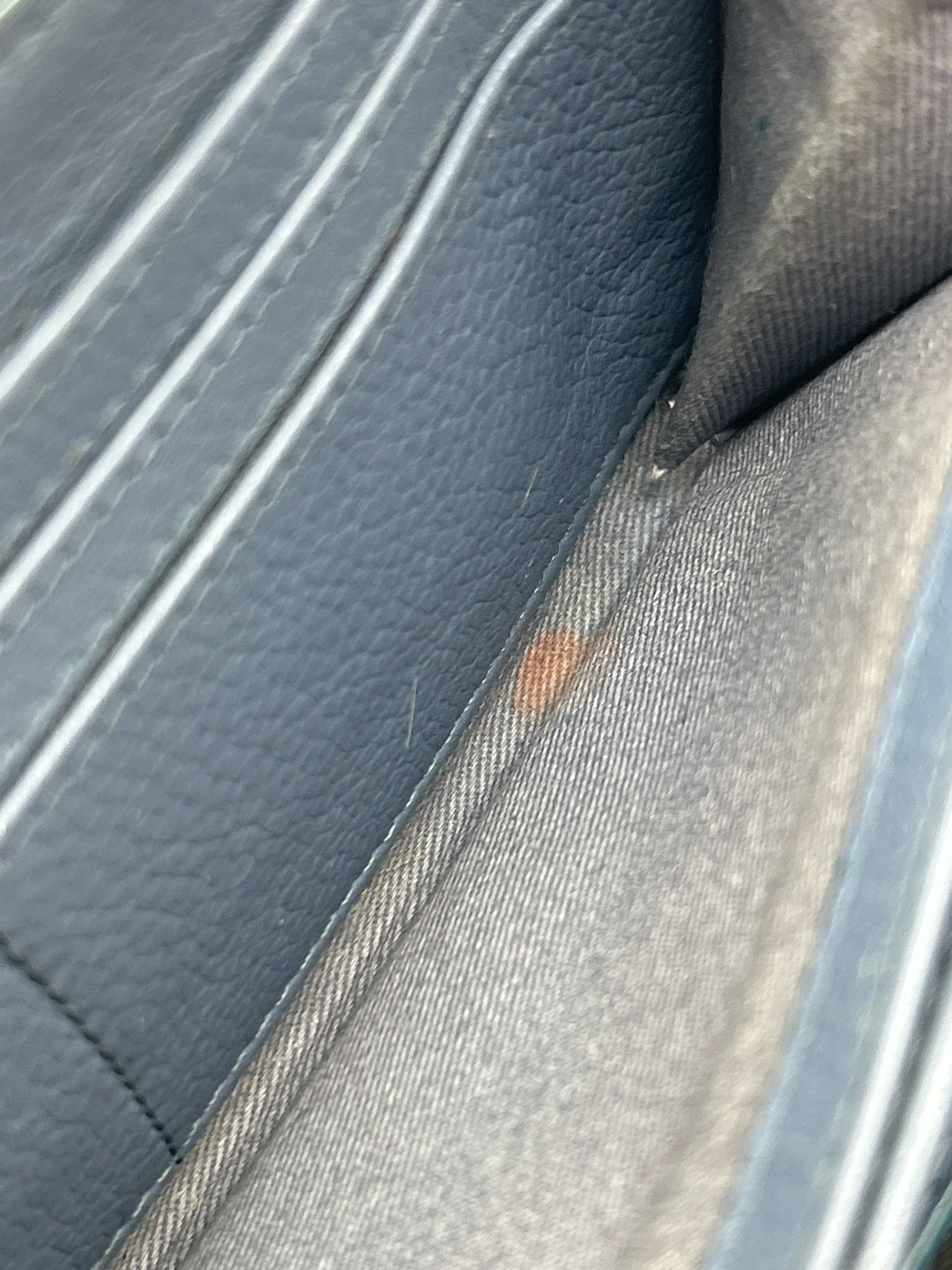 ZADIG&VOLTAIRE WHITE AND BLUE Women Wallet