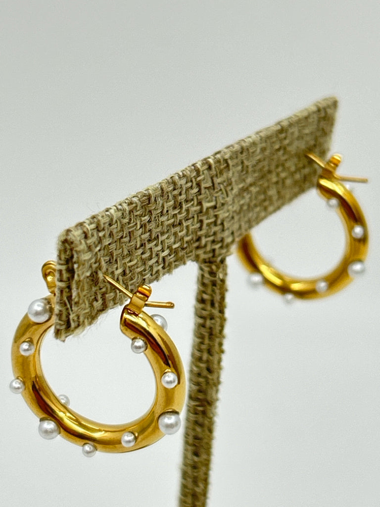 EYE CANDY Women NIB Gold Earrings