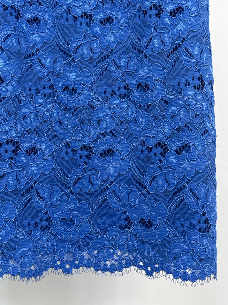 ANN TAYLOR Size 8 Blue Lace Women Dress