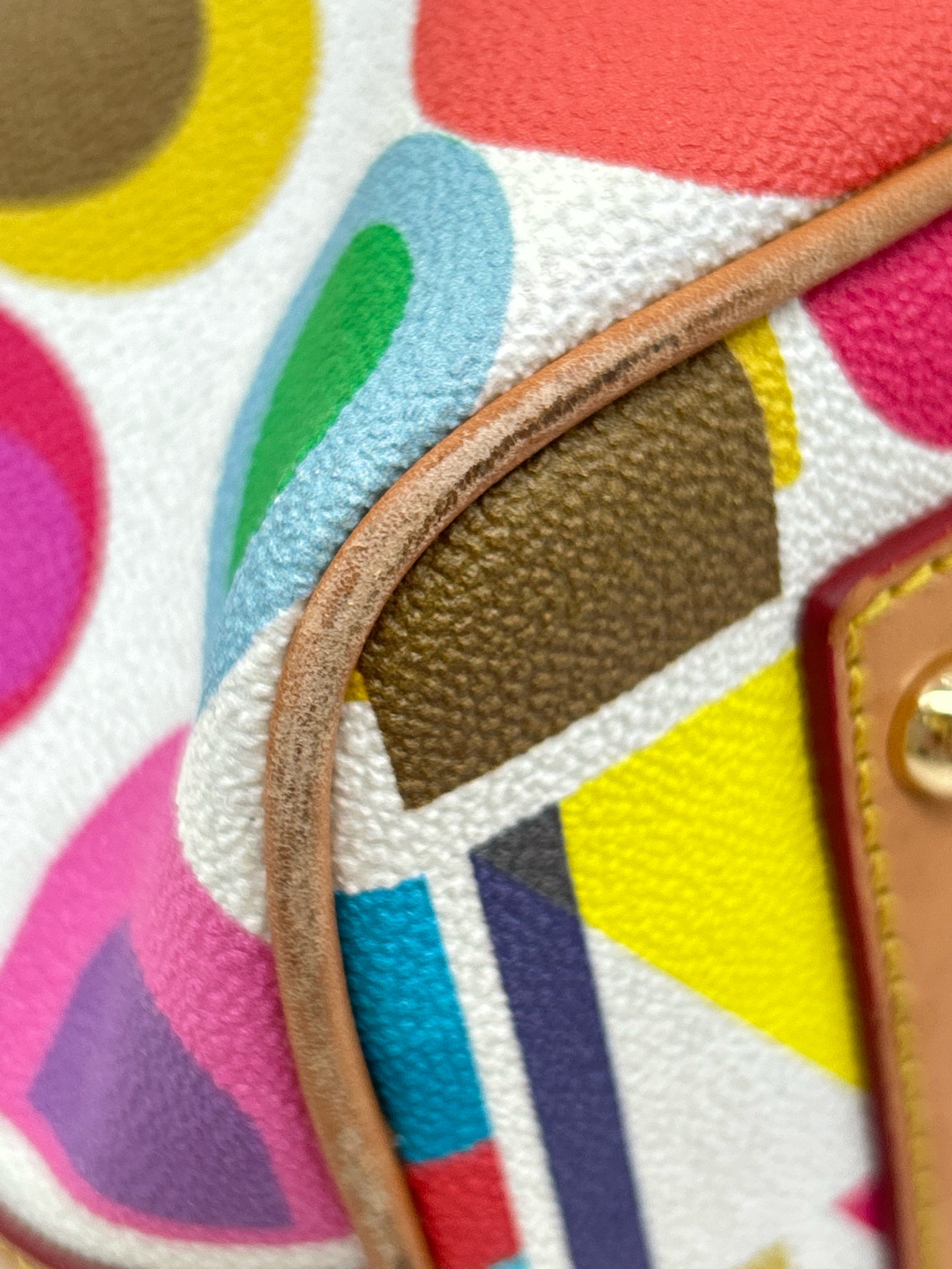 DOONEY & BOURKE Multi-Color Women Tote