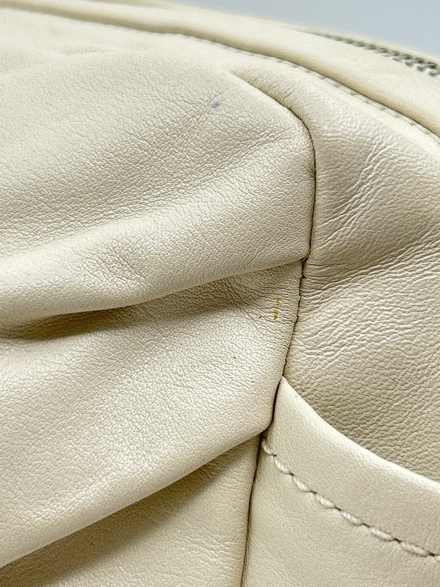COACH Ivory Women Purse