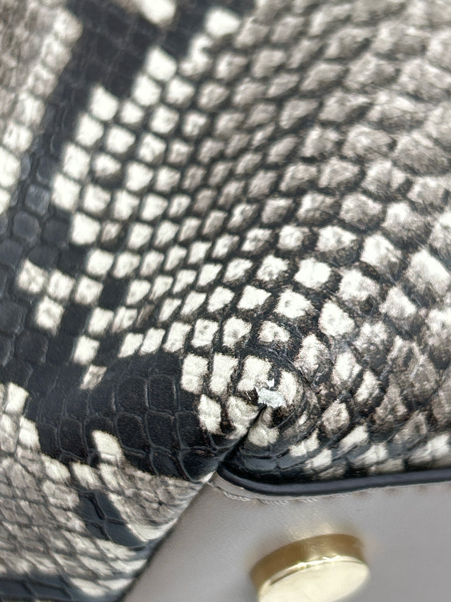 MICHAEL KORS Taupe and black Women Purse