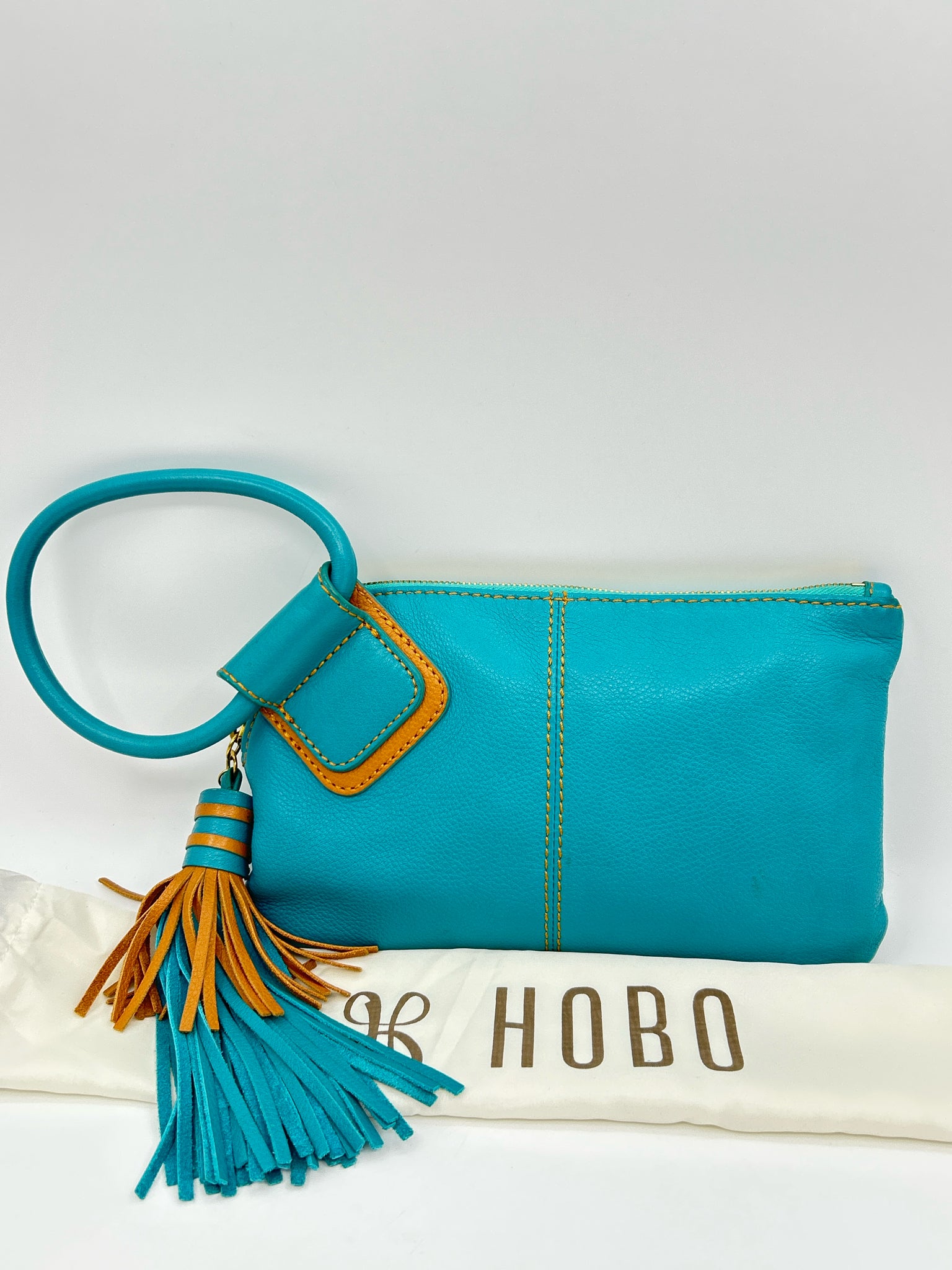 HOBO AQUA Women Purse