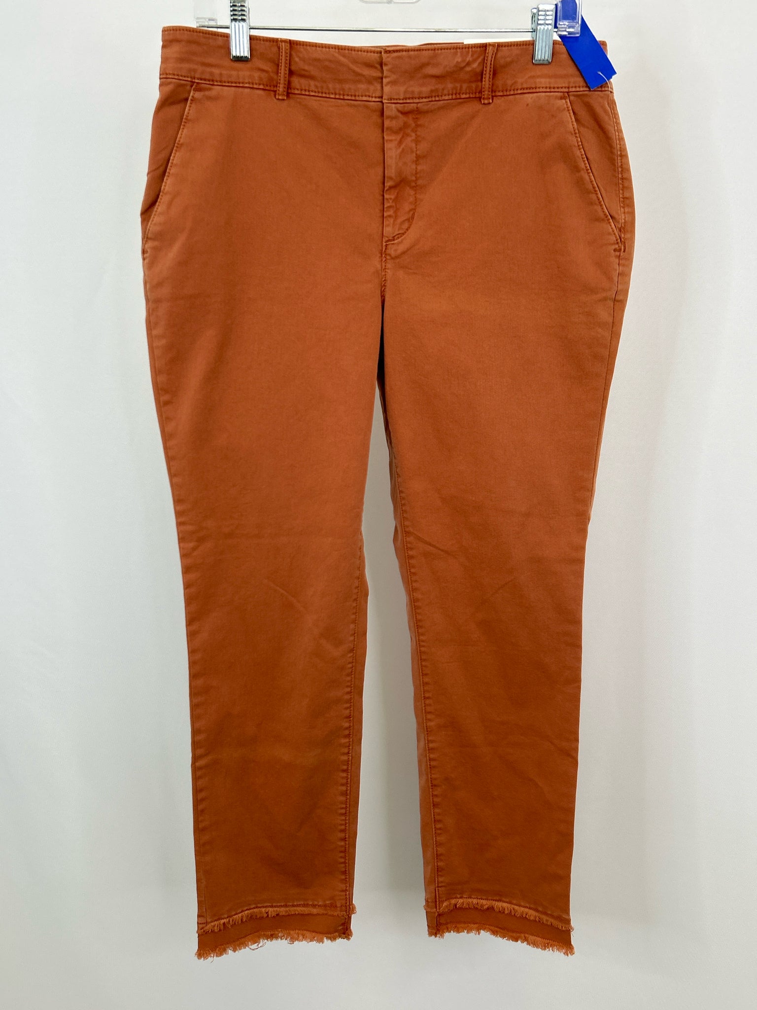 LOFT Size 10 RUST Women Pants