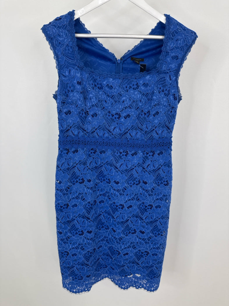 ANN TAYLOR Size 8 Blue Lace Women Dress