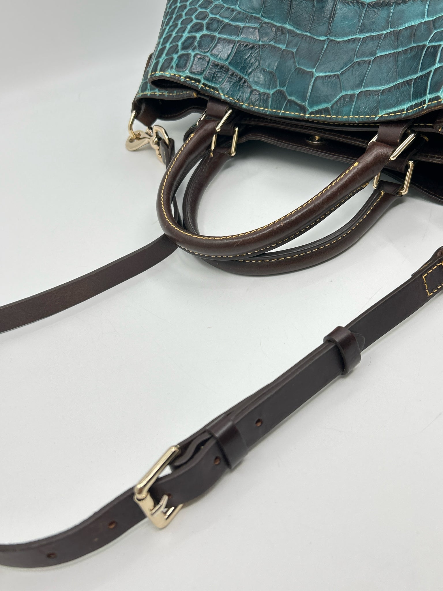 DOONEY & BOURKE TEAL AND BROWN Women Purse