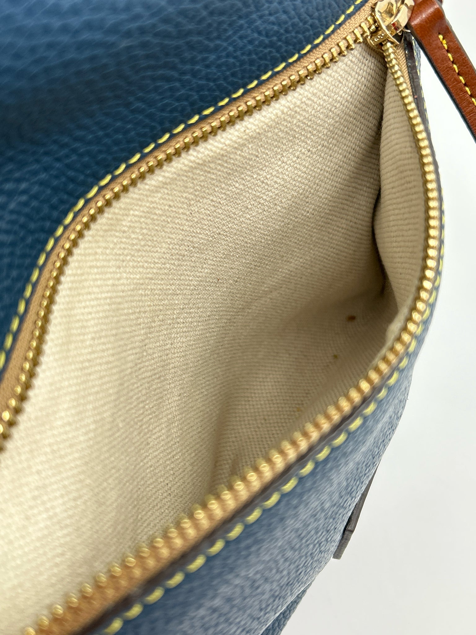 DOONEY & BOURKE Blue and Brown Women Purse