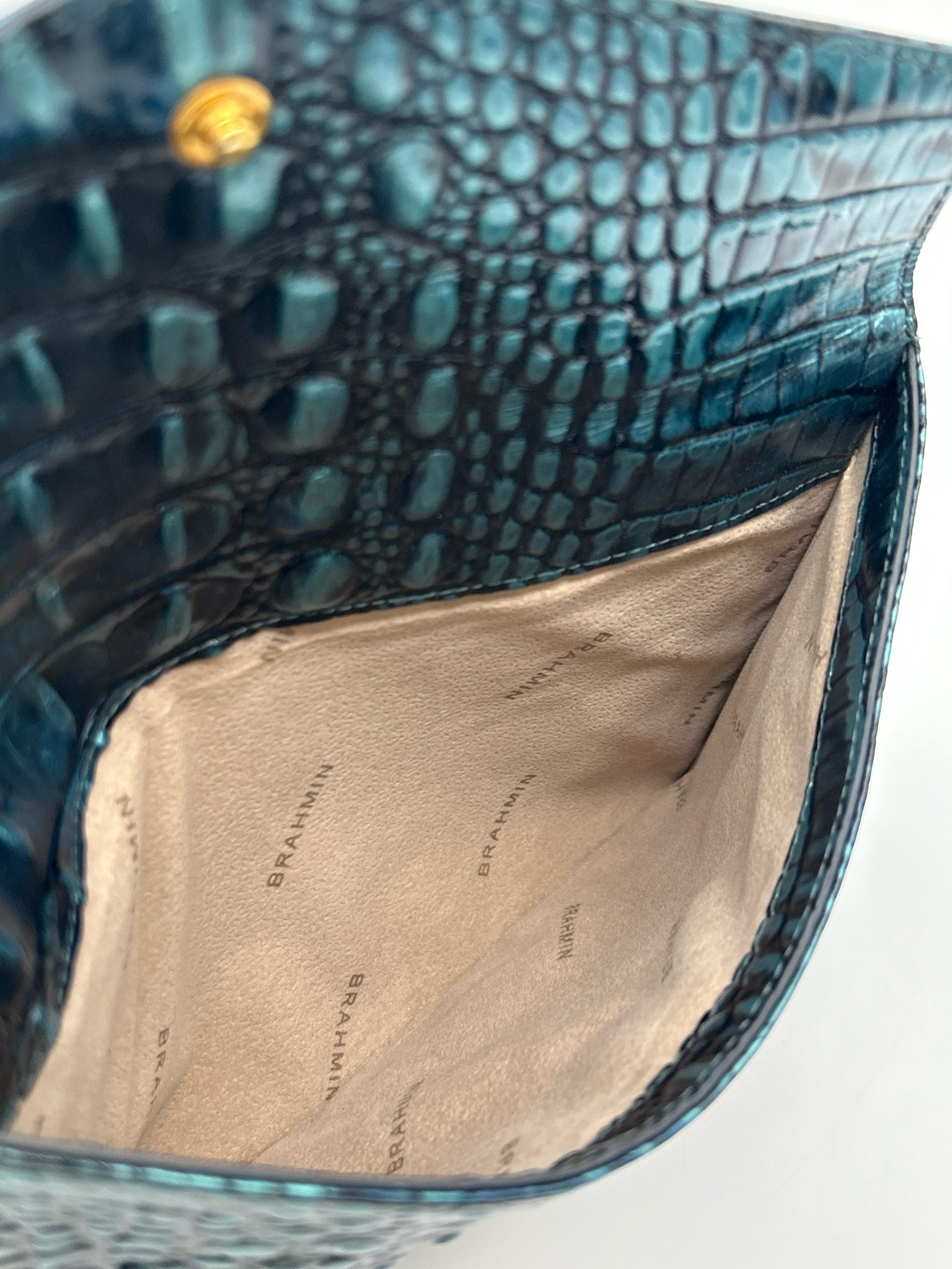 BRAHMIN BLUE AND TEAL Women Clutch